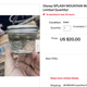 eBay Splash Mountain Water